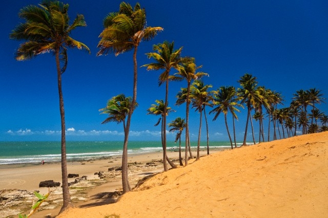 Caixa seguros em Fortaleza