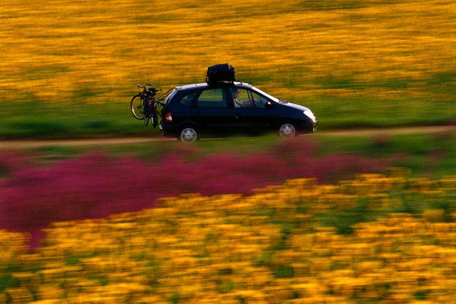 cotacoes-de-seguro-de-auto
