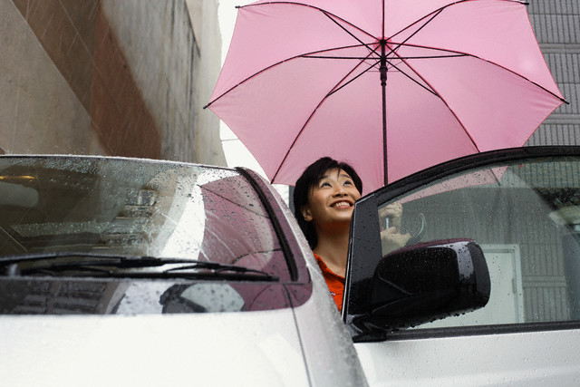proteger-o-carro-da-chuva