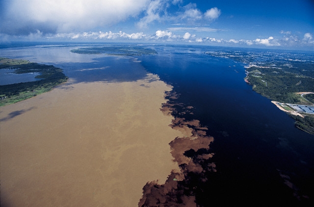 seguros manaus
